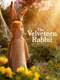 The Velveteen Rabbit