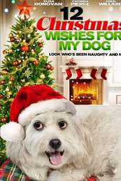12 Wishes of Christmas