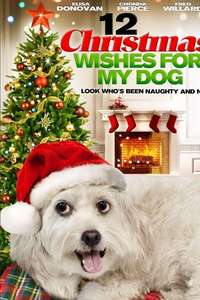 12 Wishes of Christmas - Poster