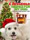 12 Wishes of Christmas