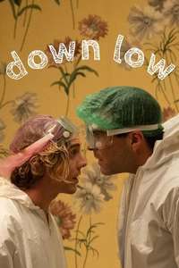Down Low - Poster