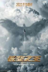 Born to Fly - Poster
