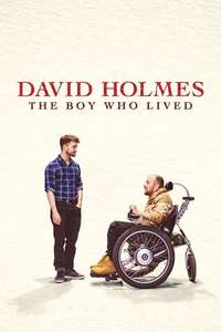 David Holmes: The Boy Who Lived - Posters