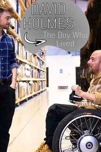 David Holmes: The Boy Who Lived - Posters