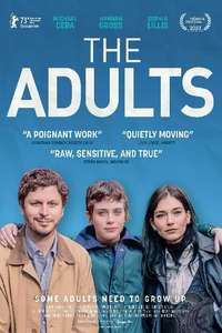 The Adults - Posters