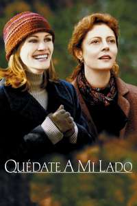 Stepmom - Poster