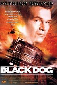 Black Dog - Poster