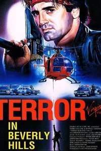 Terror In Beverly Hills - Poster