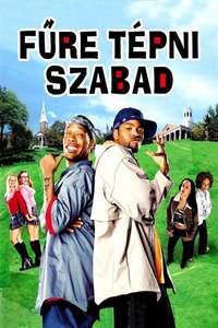 How High - Poster