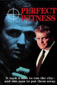 Perfect Witness - Poster