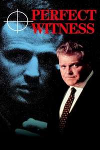 Perfect Witness - Poster