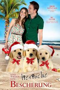 3 Holiday Tails - Poster