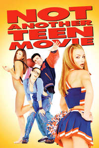 Not Another Teen Movie - Poster