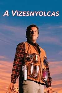 The Waterboy - Posters