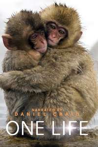 One Life - Poster