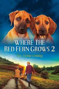 Where The Red Fern Grows II: The Classic Continues - Poster