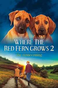 Where The Red Fern Grows II: The Classic Continues - Poster