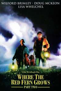 Where The Red Fern Grows II: The Classic Continues - Poster