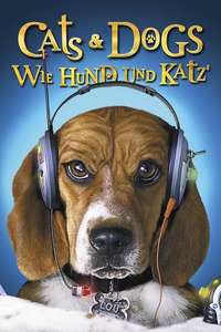 Cats & Dogs - Poster