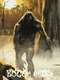 Boggy Creek