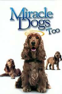 Miracle Dogs Too - Poster