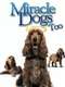 Miracle Dogs Too