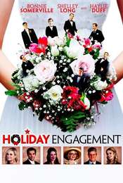 A Holiday Engagement