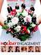 A Holiday Engagement