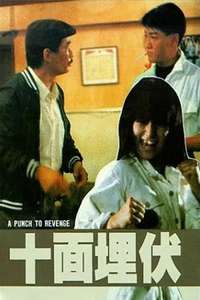 A Punch to Revenge - Poster