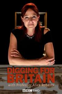 Digging for Britain - Posters