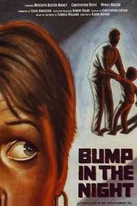 Bump in the Night - Poster