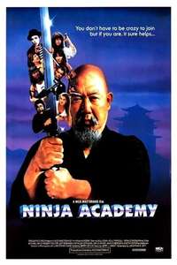 Ninja Academy - Poster