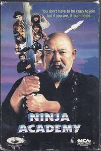 Ninja Academy - Poster
