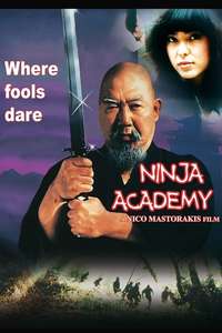 Ninja Academy - Poster