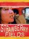 Strawberry Fields