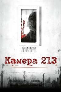 Cell 213 - Poster
