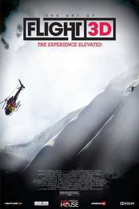 The Art of Flight - Poster