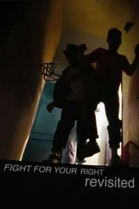 Fight for Your Right Revisited - Poster