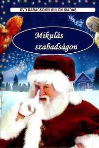 The Year Without a Santa Claus - Poster
