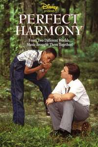 Perfect Harmony - Poster