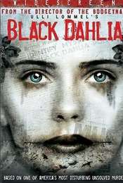 Black Dahlia
