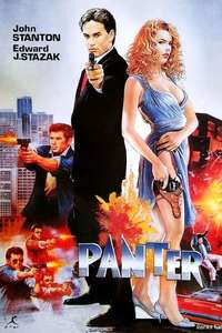 Strike of the Panther - Poster