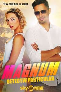 Magnum P.I. - Posters