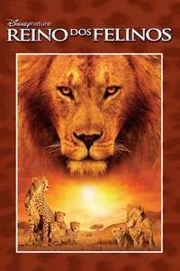 African Cats - Posters