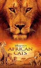 African Cats