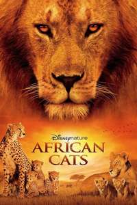 African Cats - Posters