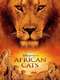 African Cats