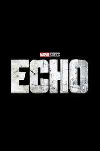 Echo - Posters