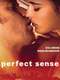 Perfect Sense