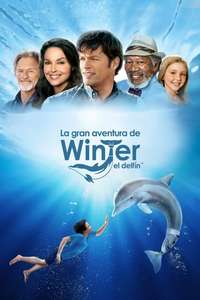 Dolphin Tale - Posters